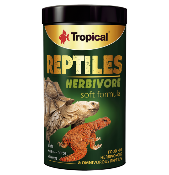 TROPICAL Reptiles Herbivore...