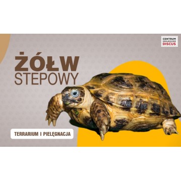 Żółw stepowy - Cena Terrarium Pielęgnacja Zimowanie żółwia domowego